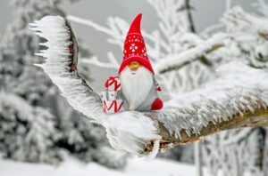 20代が利用する恋活アプリでのクリスマスプランは？
