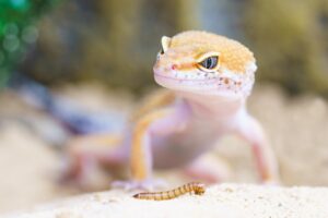 20代がマッチングアプリで成功するための写真の撮り方は？